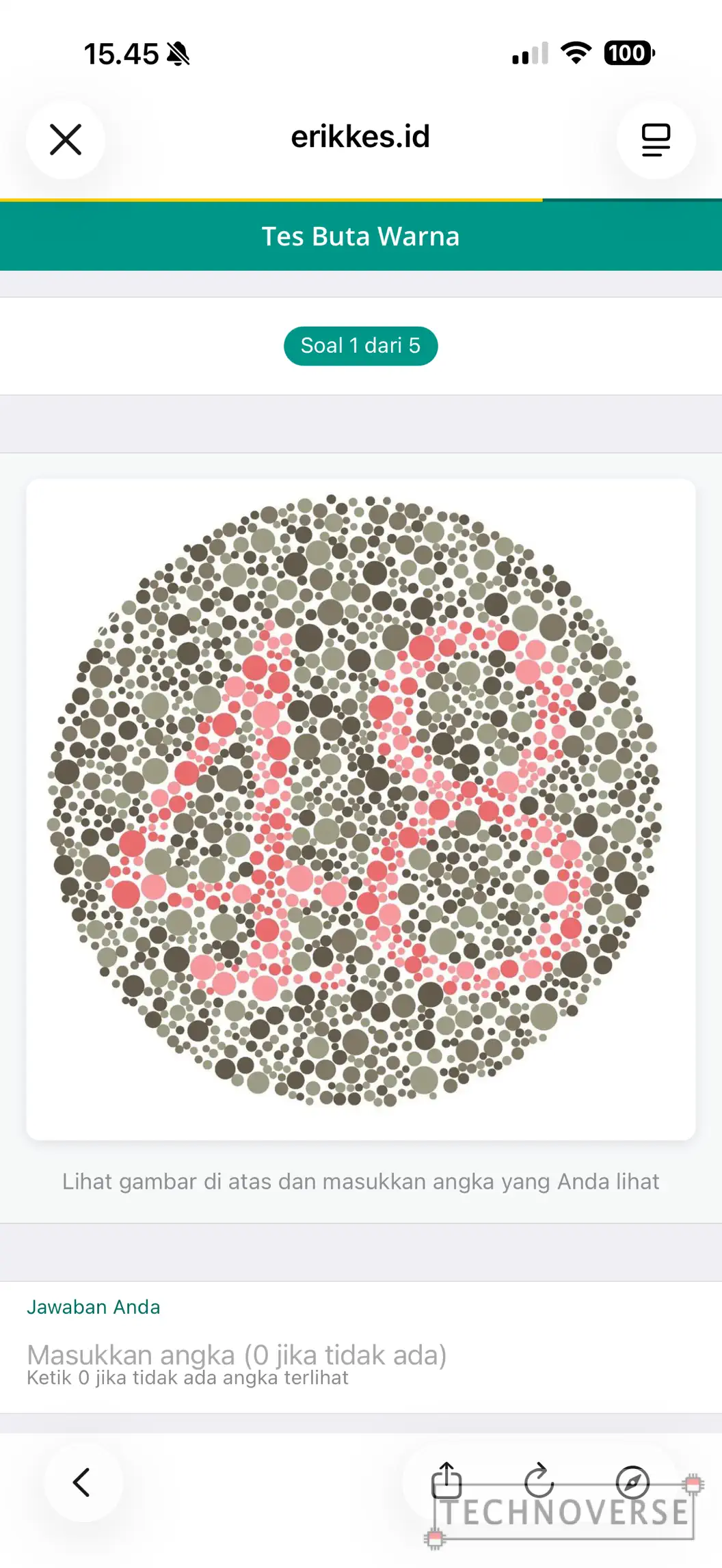 contoh-tes-buta-warna